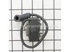 Coil-Ignition – Part Number: 6687684