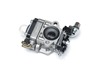 Carburetor Set – Part Number: 6690503