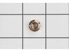 Chain Bar Clamp Nut – Part Number: 6695170