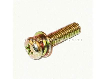 9995024-1-M-Tanaka-6695420-Screw-5X20/Ws