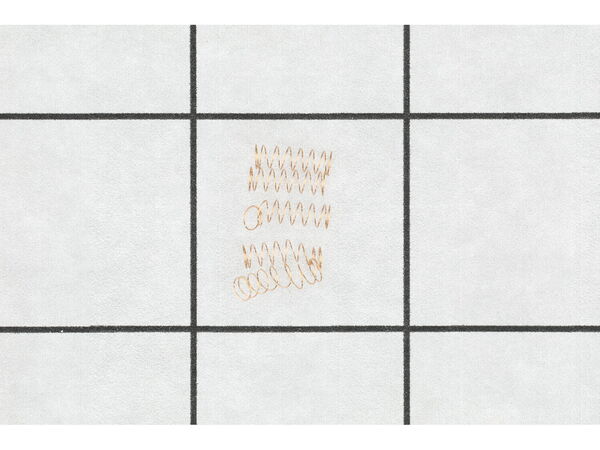 9995269-1-M-Tanaka-6696082-Valve Spring
