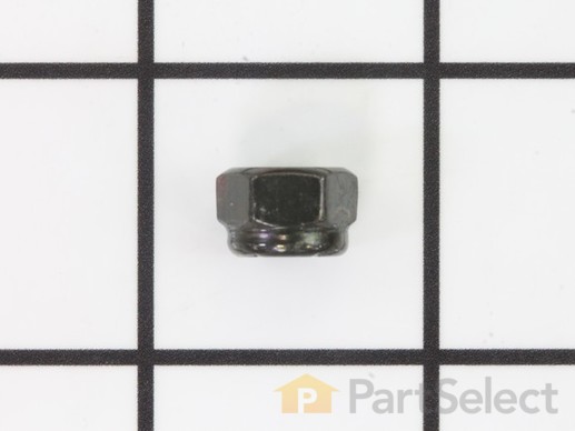 9995903-1-M-Homelite-678074002-Lock Nut 1/4-20