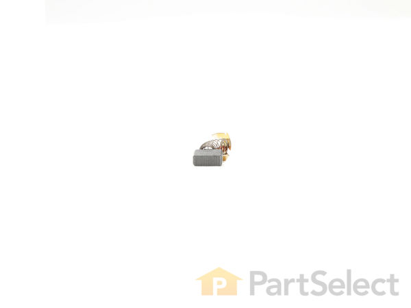 10076898-1-S-Ryobi-080029002065-Carbon Brush 360 view
