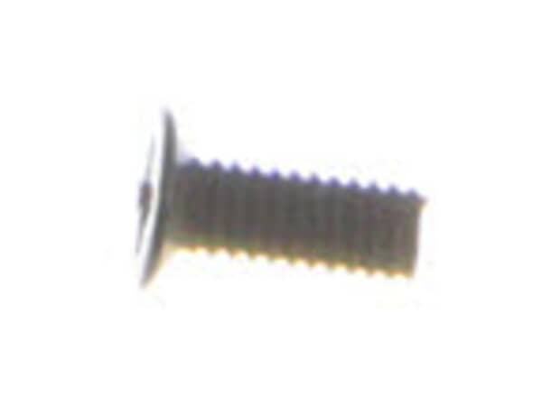 10077347-1-S-Ryobi-089037009046-Screw (M4 x 10 mm) 360 view