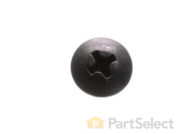 10081120-1-S-Ryobi-410601003-Screw M4 X 10mm Truss Hd. 360 view