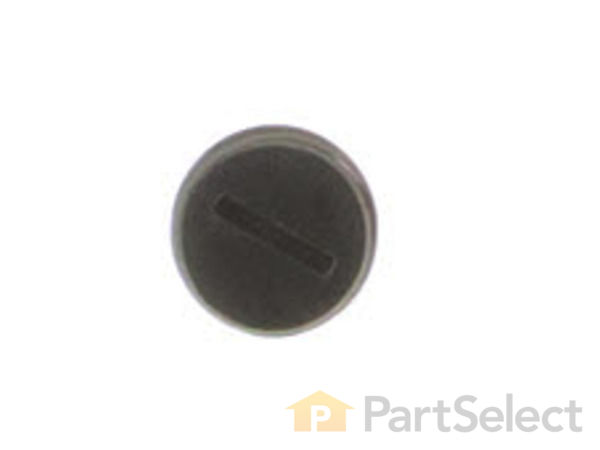 10098112-1-S-Ridgid-516851001-Brush Cap 360 view