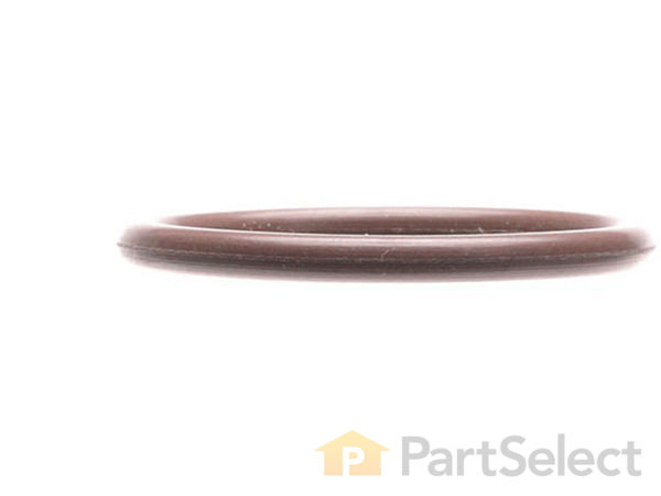 10157966-1-S-Graco-106553-Suction Tube O-ring 360 view