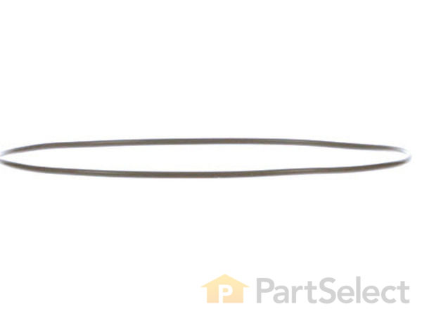 10171254-1-S-DeWALT-390156-00-O-ring 360 view