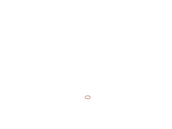 10175451-1-S-DeWALT-5130150-00-O-Ring 360 view