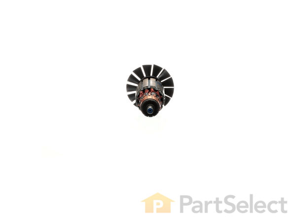 10182758-1-S-DeWALT-629549-00SV-Armature 360 view