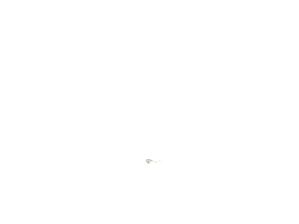 10183075-1-S-DeWALT-636760-00-Brush Spring 360 view