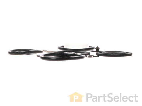 10290327-1-S-Chapin-6-1925-Seal And Gasket Kit 360 view