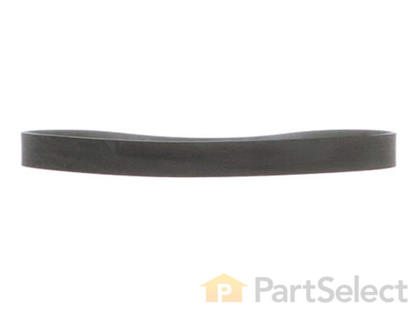 10322484-1-S-Delta-419961330005-Drive Belt -for Wood 360 view