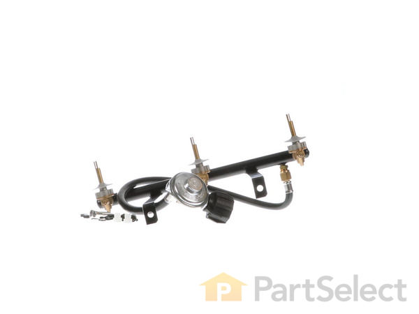 10512736-1-S-Weber-90373-Manifold 360 view