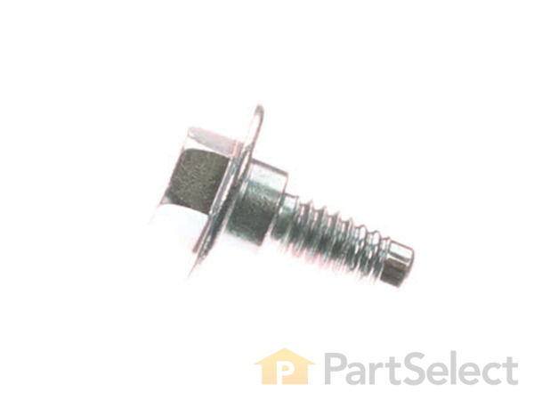11829371-1-S-Briggs and Stratton-594618-Screw 360 view