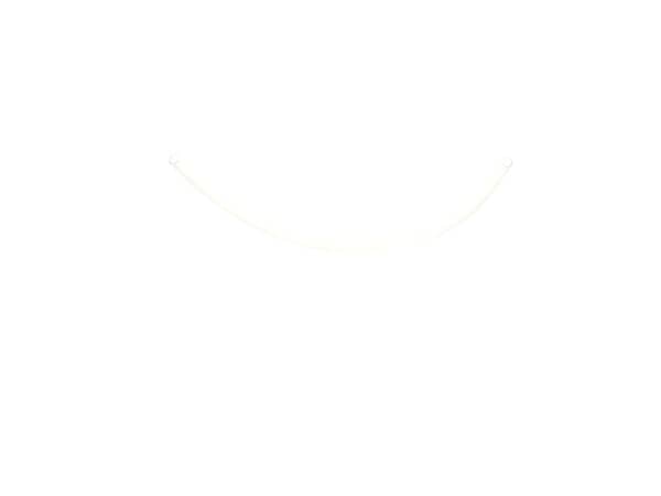 11855528-1-S-Ryobi-080009002034-Hose 360 view