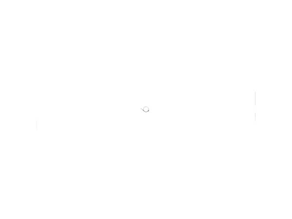 12089641-1-S-Echo-V452001630-Spring, Torsion 360 view