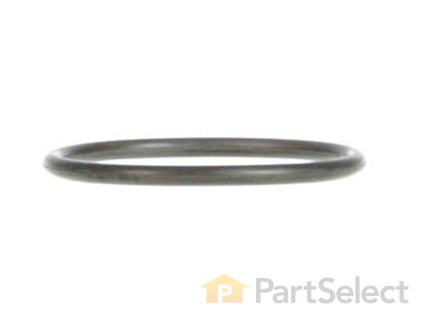 12094909-1-S-Ingersoll Rand-118MAX-65-O - Ring 360 view