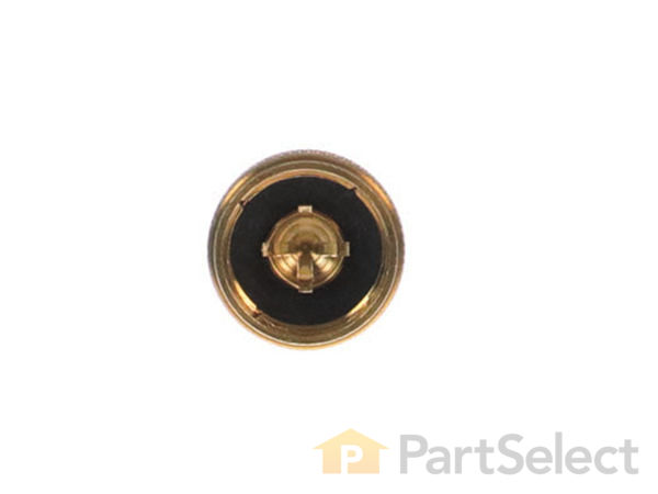 12164177-1-S-Coleman-3000005086-Filler Cap 360 view