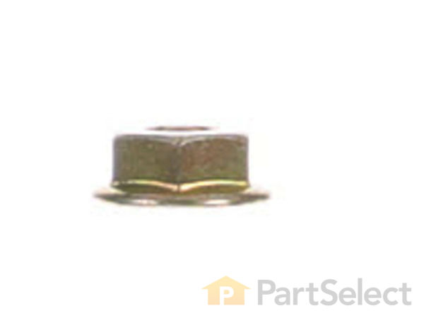 12613495-1-S-Ariens-06500824-Nut 360 view