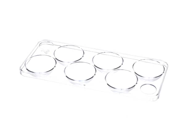 17820808-1-S-SMEG-767530644-Eggs Tray 360 view