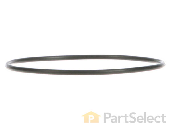 311086-1-S-GE-WS03X10038        -Sump Housing O-Ring 360 view