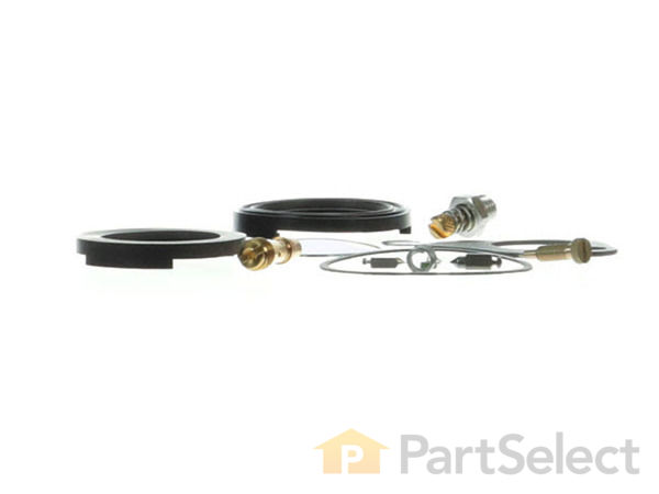 8960554-1-S-Briggs and Stratton-394698-Kit-carb Overhaul 360 view