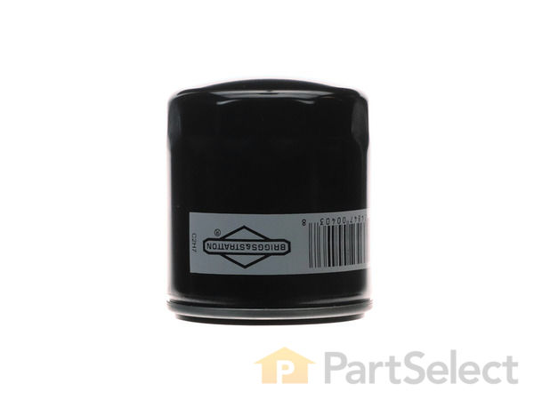 8978720-1-S-Briggs and Stratton-491056-Filter-oil 360 view