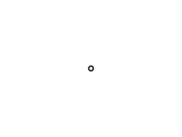 9002445-1-S-Husqvarna-525953201-Bearing 360 view