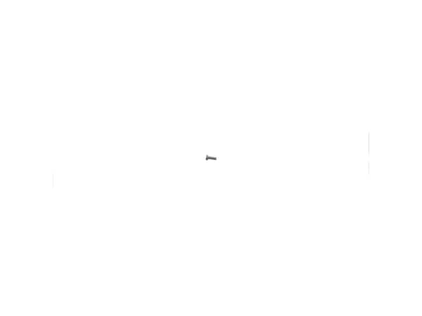 9151144-1-S-Echo-90010006016-Bolt 6x16 360 view