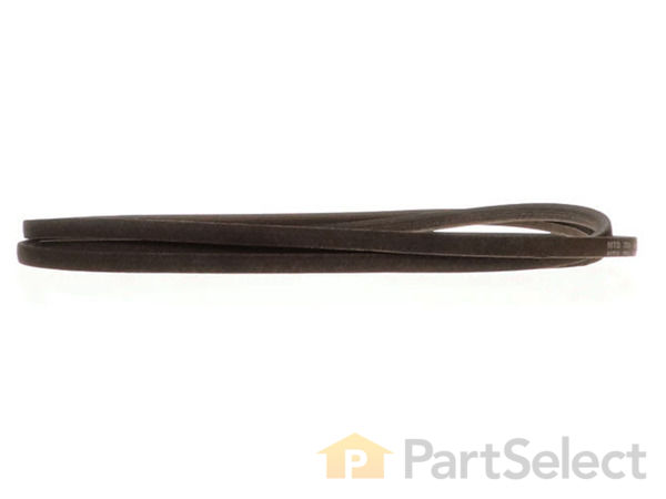 9175155-1-S-MTD-954-04219-Belt-v A Sec X 10 360 view