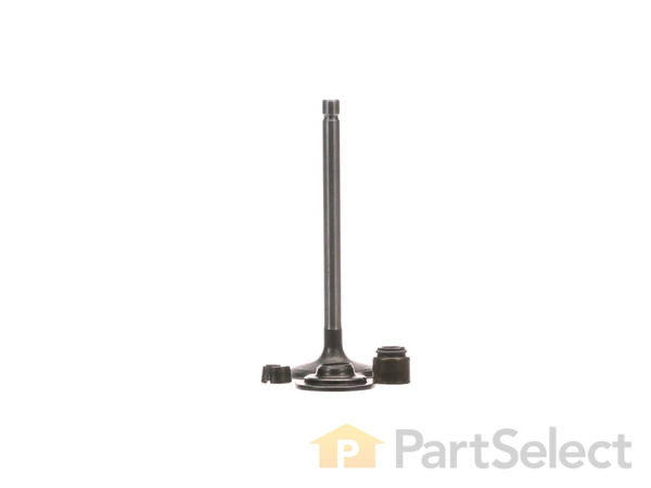 9306753-1-S-Briggs and Stratton-792200-Valve-intake 360 view