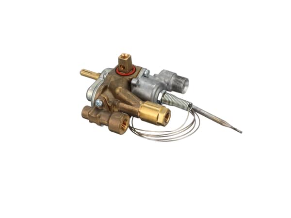 953421-1-S-GE-WB20K10013        -Modulating Thermostat and Gas Safety Valve 360 view