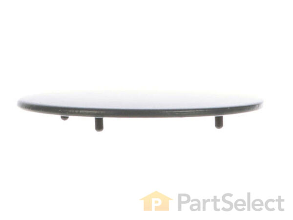 954203-1-S-GE-WB29K10024        -Burner Cap 360 view