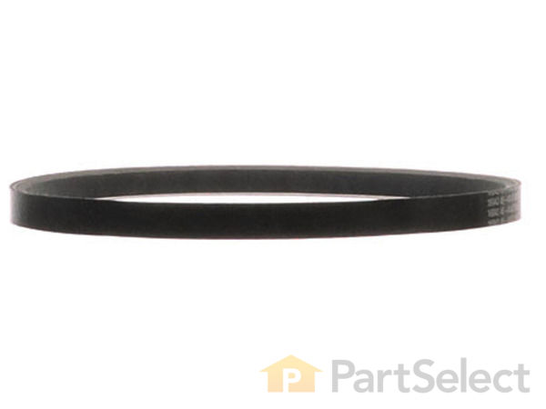 9897374-1-S-Bear Cat-16043-Belt, 29" C/s 360 view