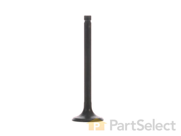 9942082-1-S-Kohler-3201601-S-Exhaust Valve 360 view