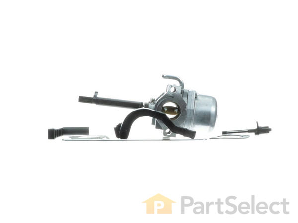 9983395-1-S-Briggs and Stratton-591378-Lawn Mower Carburetor 360 view