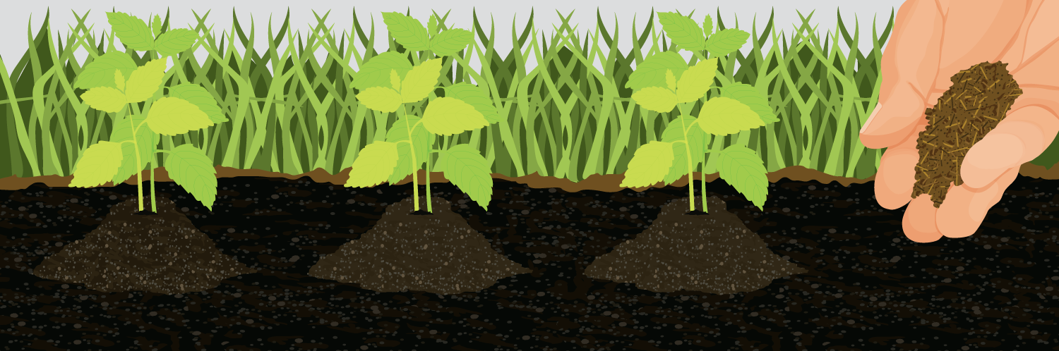 Cut the Crap: Making Your Own Environmentally Friendly Garden Fertilizers Is Easier Than You Think