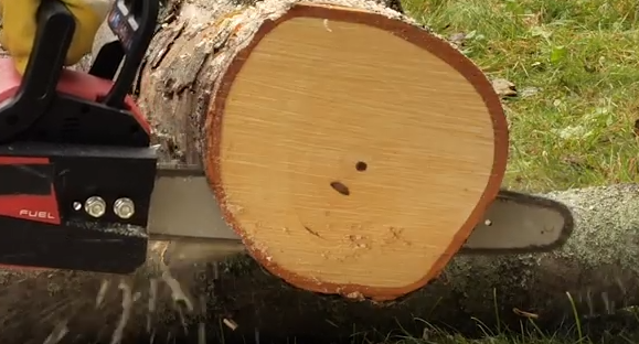 Chainsaw speed cutting through a log