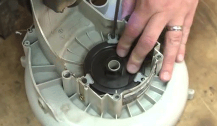 remove the starter pulley