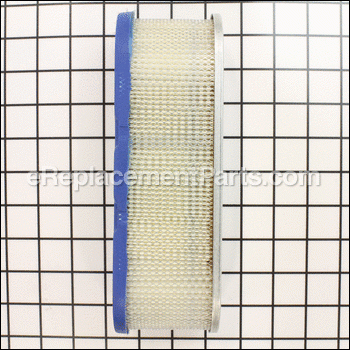 Filter-a/c Cartridge - 399806S:Briggs and Stratton