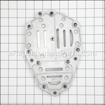 Valve Plate Assembly - TF066300AJ:Campbell Hausfeld