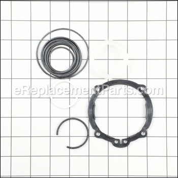 O-ring Kit - N001065:DeWALT