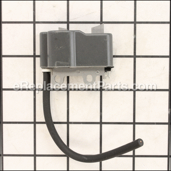 Assy, Ignition Coil - P021036741:Echo