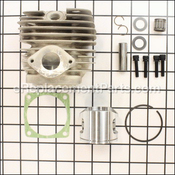 Engine Repair Kit - P021039000:Echo