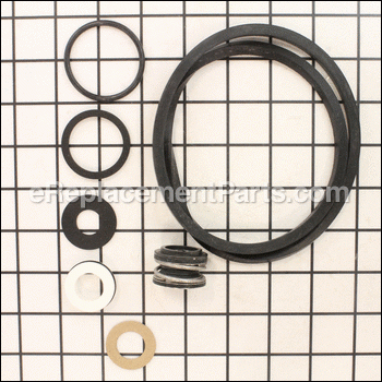 Seal & Gasket Kit-fp4300 Serie - FPP1500:Flotec
