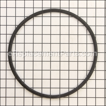 Filter Head O-ring - CX800F:Hayward