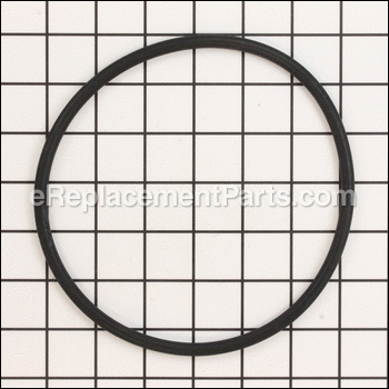 Strainer Cover O-ring - SPX3200S:Hayward