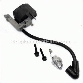 Ignition Kit With Module - 308284001:Homelite