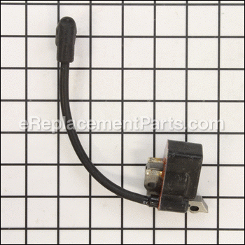 Ignition Module - PS06232:Homelite